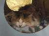 MaryAnn