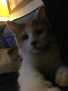 MaryAnn