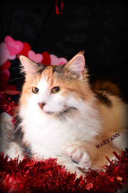 MaryAnn