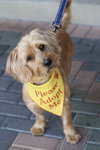 Finnegan - Photo 2