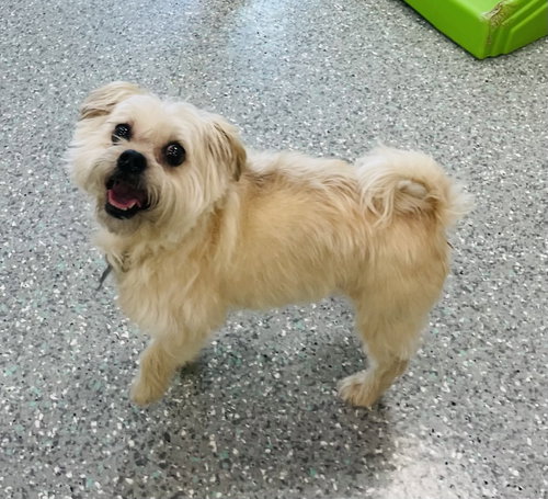 Hazel & Luna photo 3