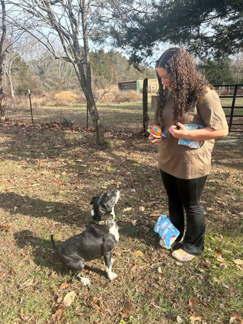 Photo 6 of Roscoe in Scottsville VA
