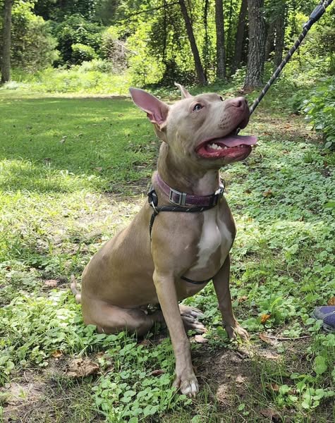 Photo 2 of Persephone in Gloucester VA