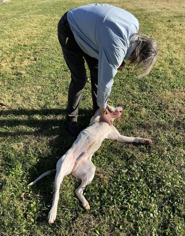 Petey in Covington VA