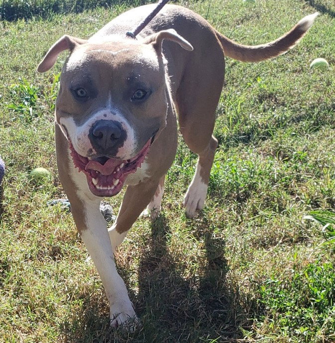 Titus in Tappahannock VA