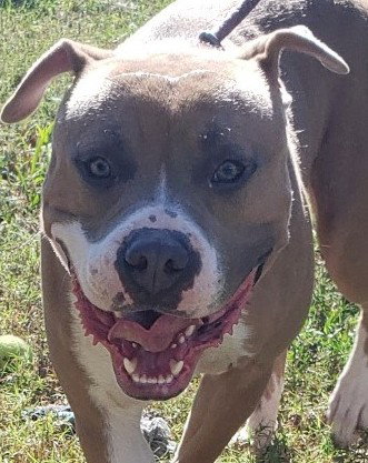 Titus in Tappahannock VA