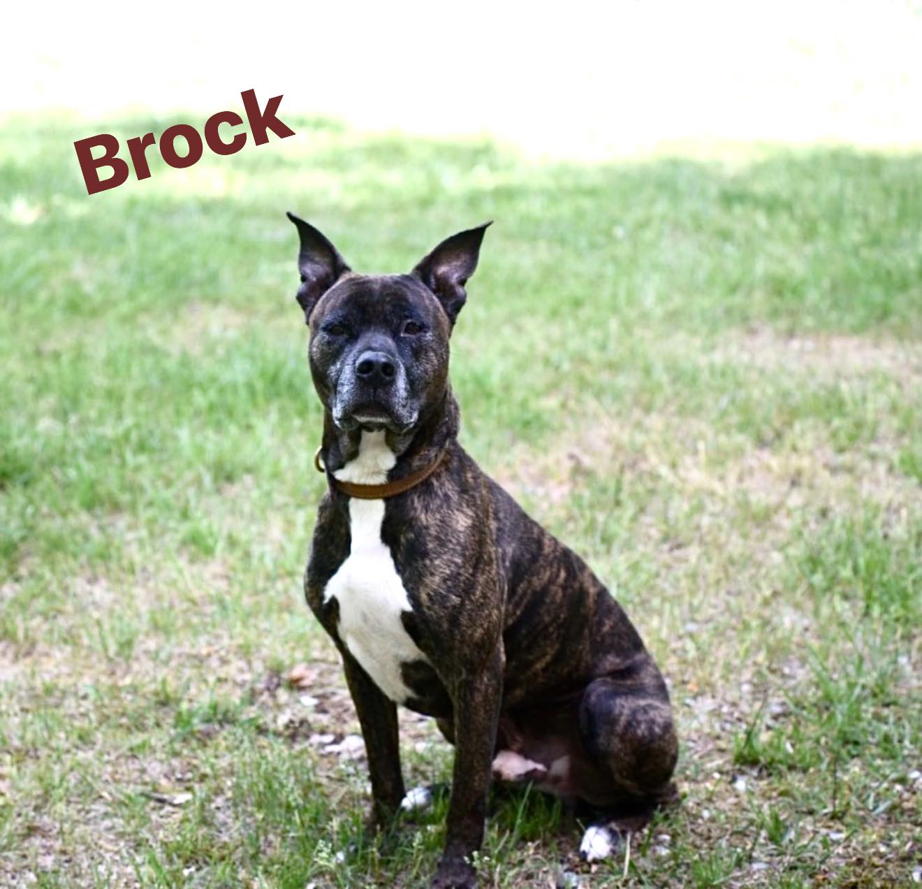 Brock In Pearisburg Va