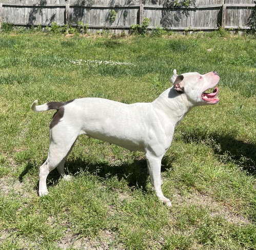 Abbie In Chesapeake Va photo 2