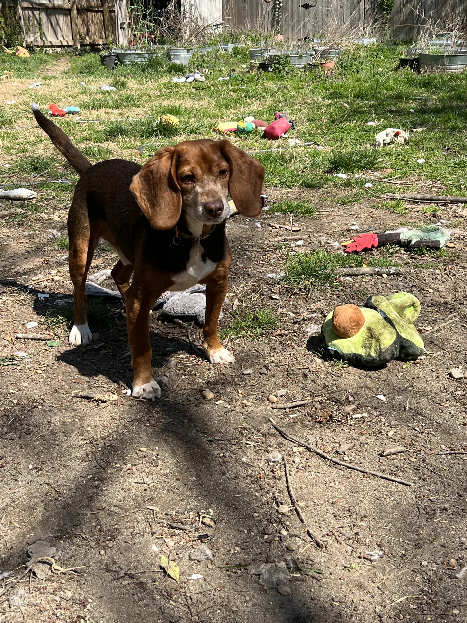 Otto In Richmond Va