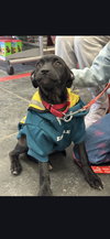Heidy - Photo 4