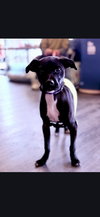 Sally - Photo 3