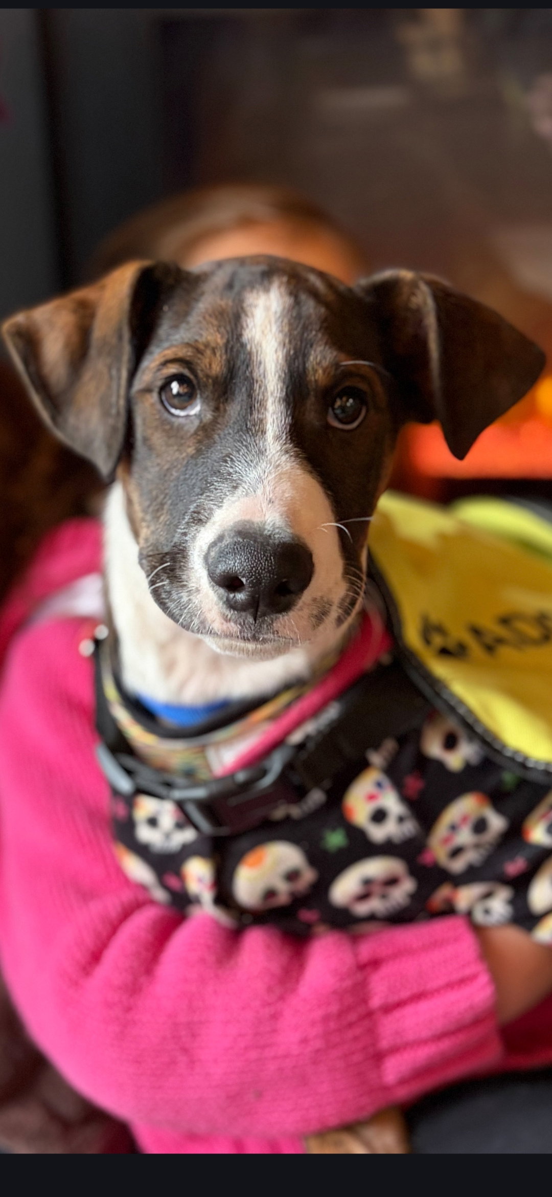 Benny