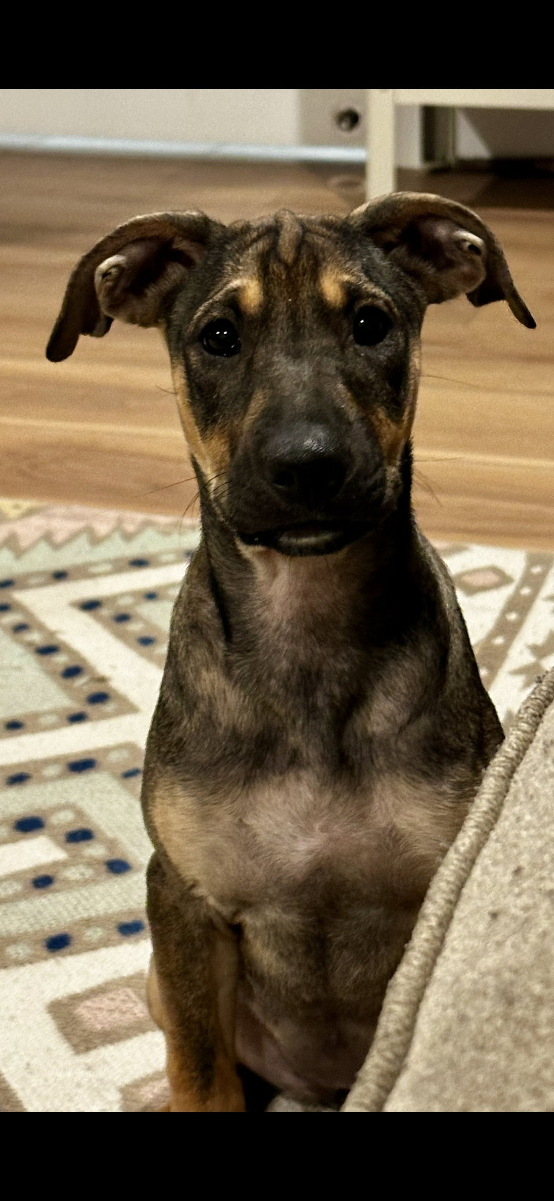 Frida