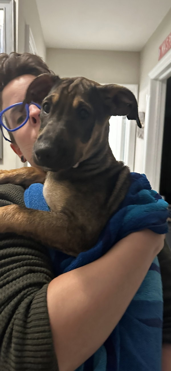 Frida