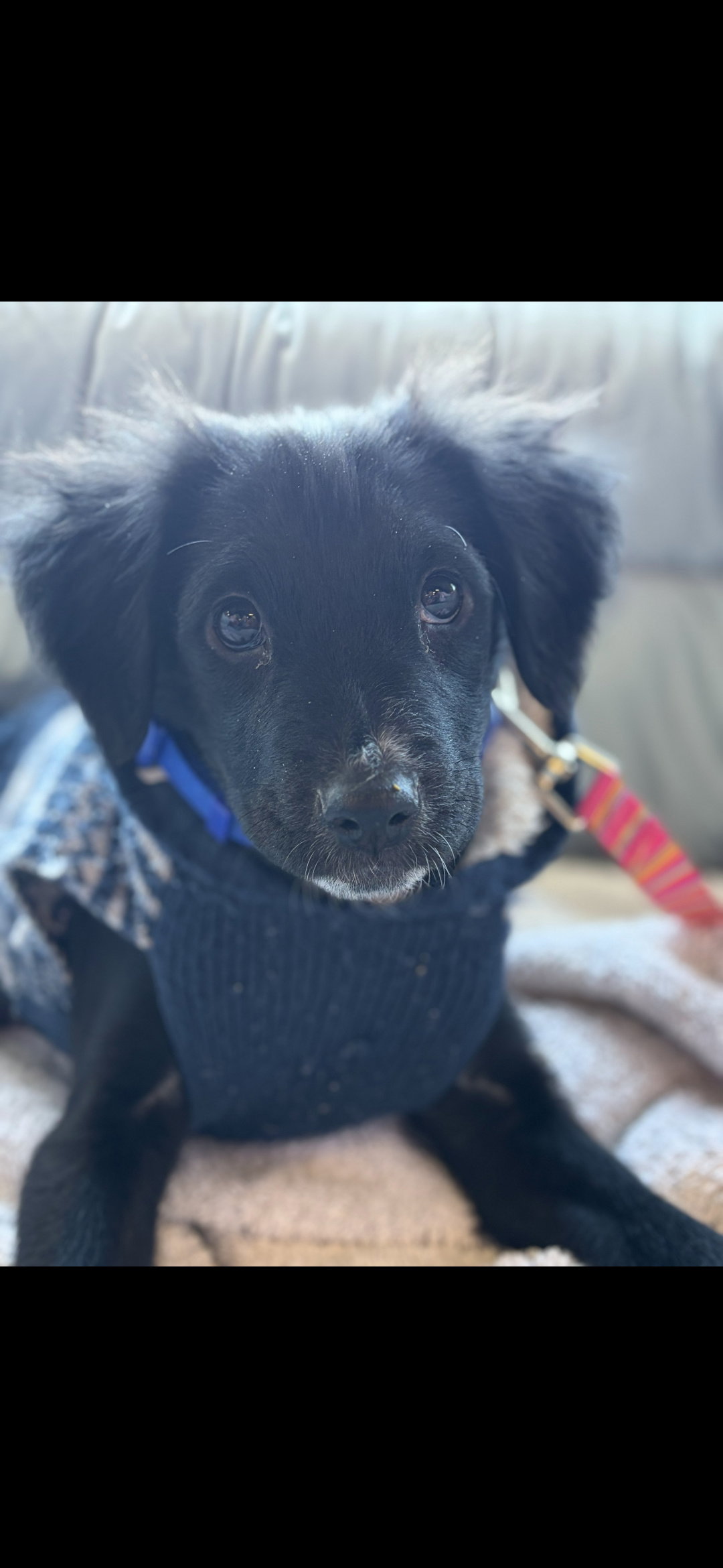 Jada Image