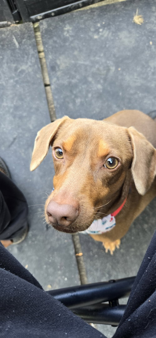 Otto photo 4