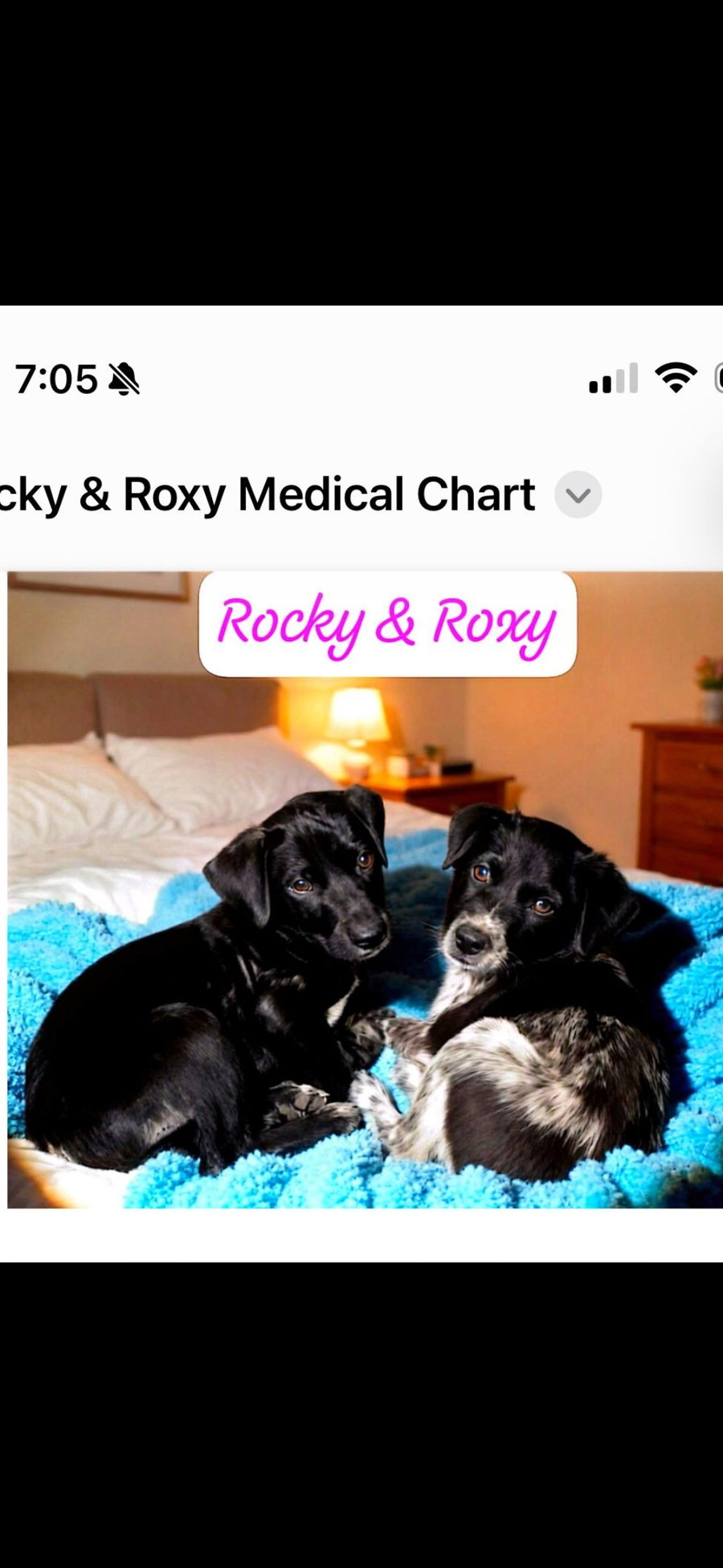 Rocky