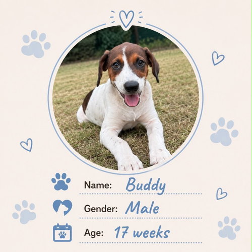 Buddy photo 2