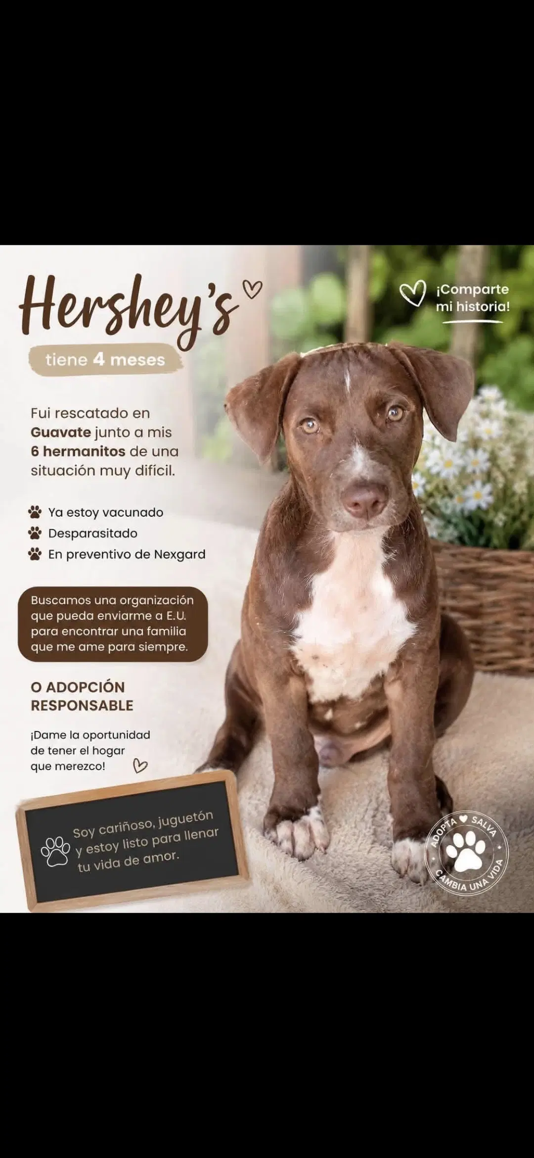 Hershey image 3