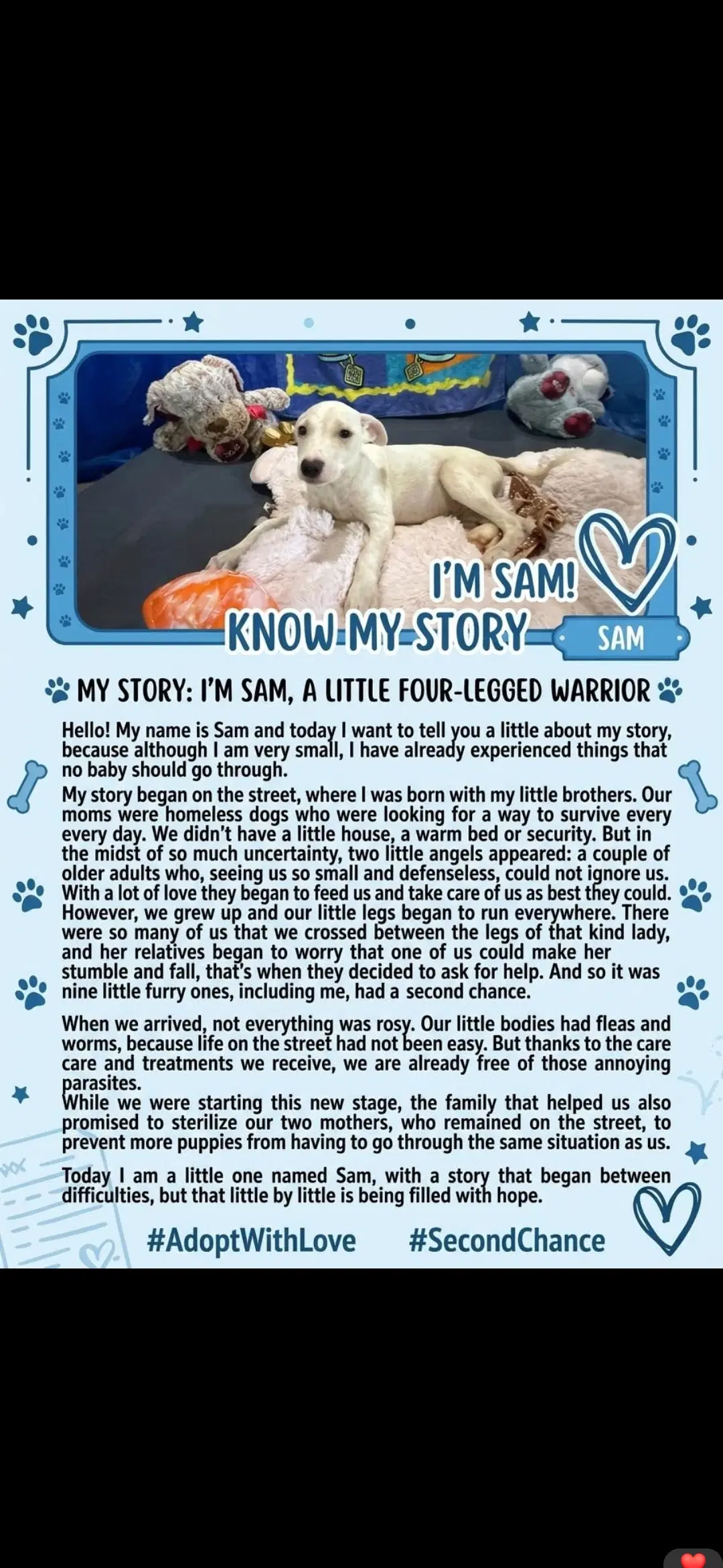 Sam image 4