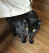 Little One - Photo 2