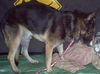 GUNNY #298