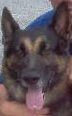 GUNNY #298