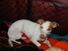 DAISY/MISTY #322