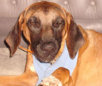 TONTO #333
