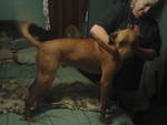 SCOOBY #224