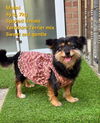 adoptable Dog in Agoura Hills, CA named MAIMI