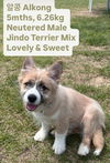 adoptable Dog in Agoura Hills, CA named ALKONG