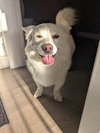 MOCHI - Photo 2
