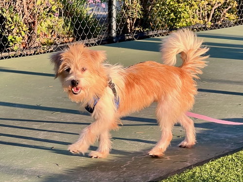 Photo of MILO