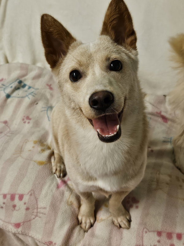 OTTO