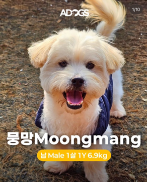 MOONGMANG