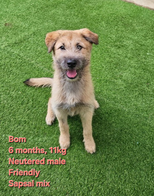 BOM