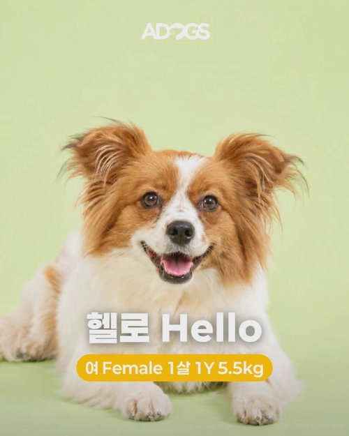 HELLO