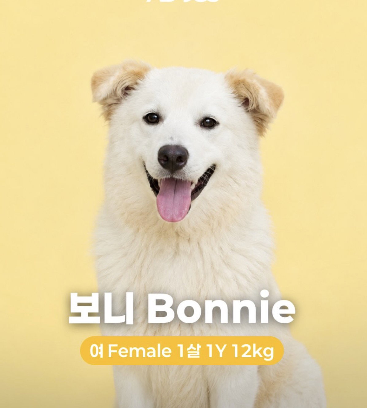 BONNIE