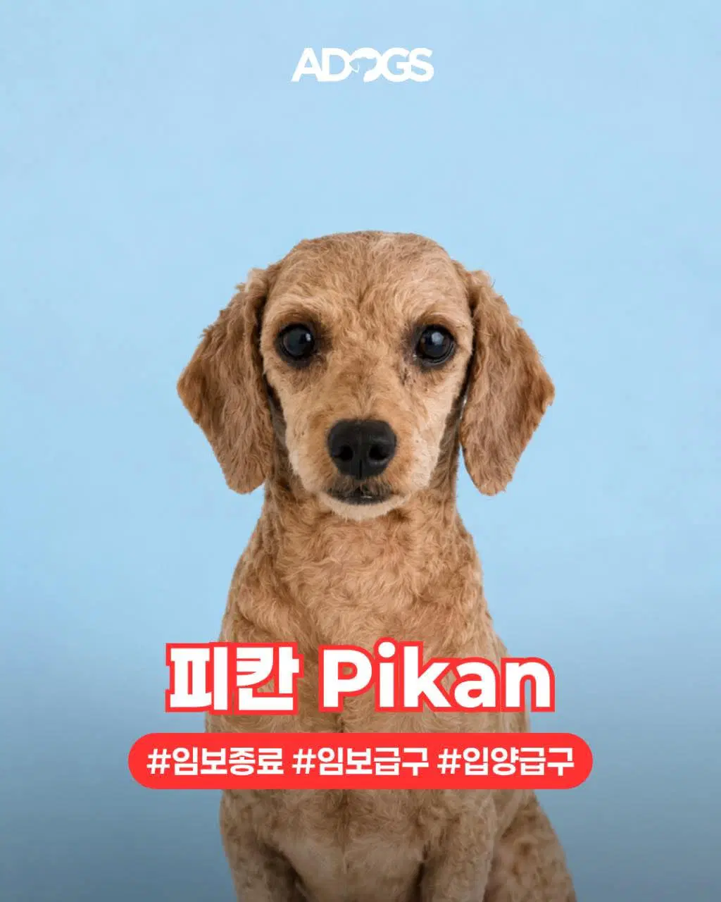 Pikan image 3