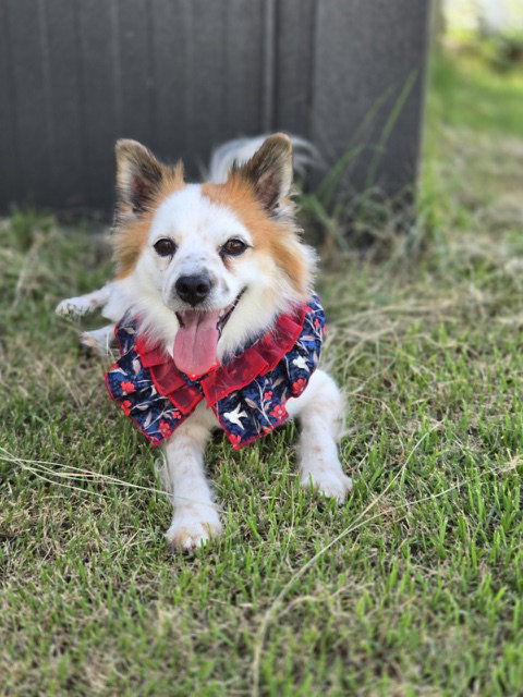 Eun, Pomeranian