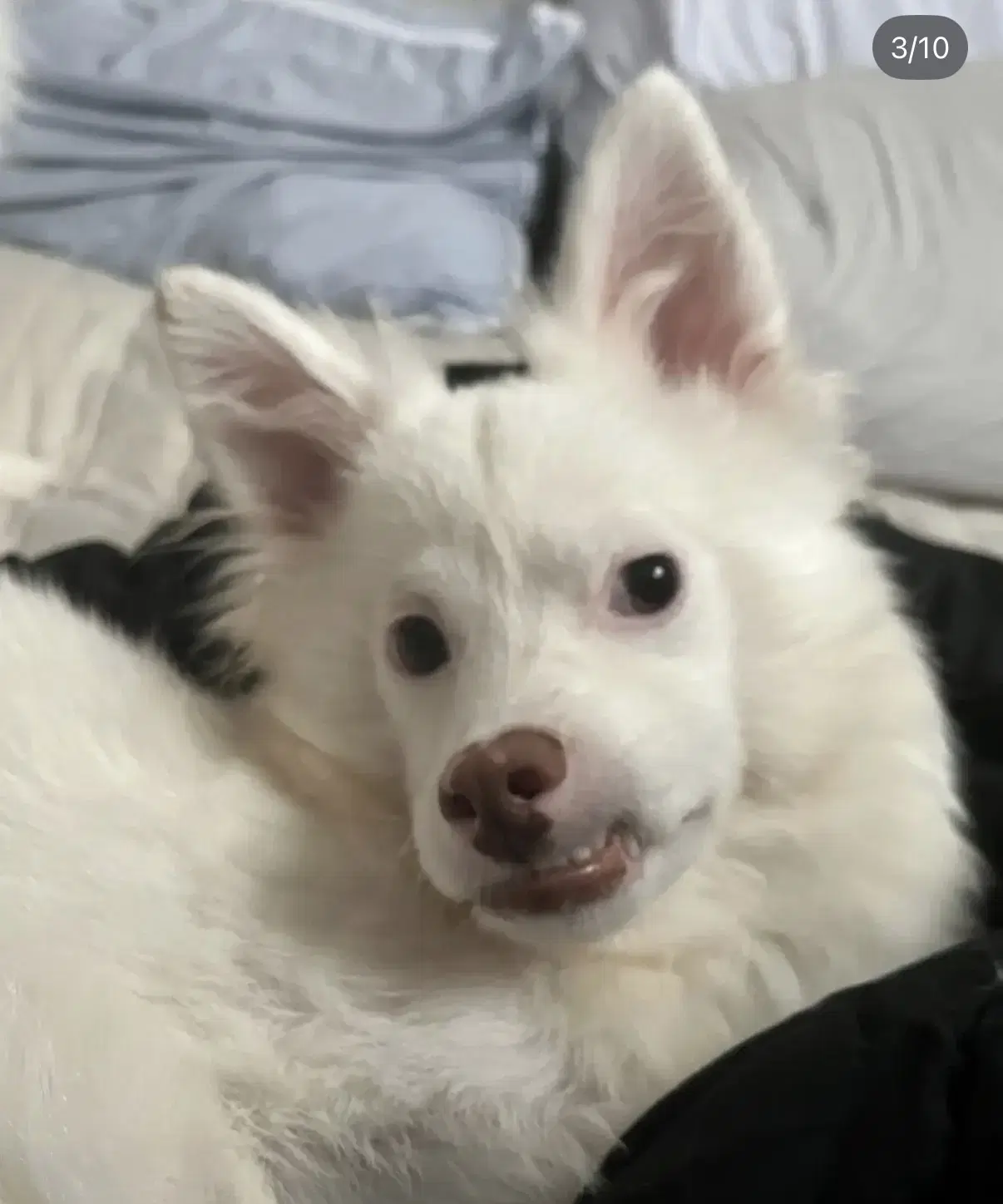Yuki image 2