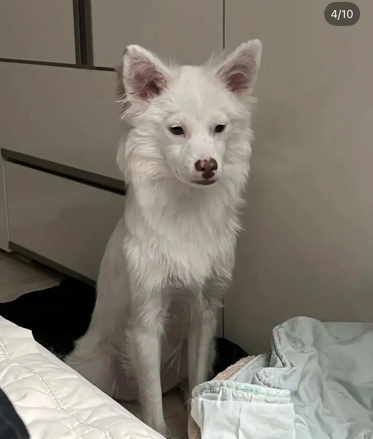 Yuki image 3