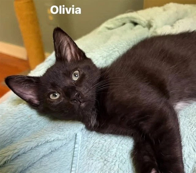 Olivia