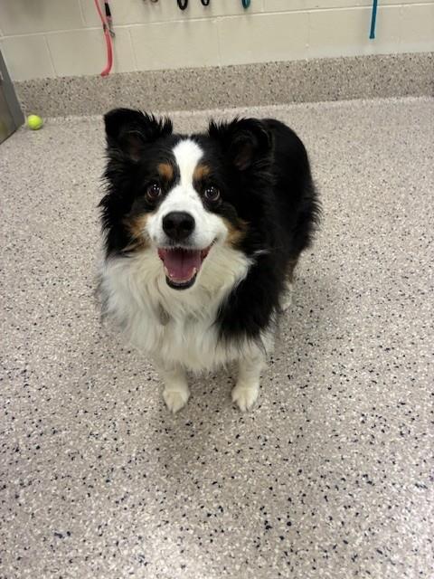 BINDI