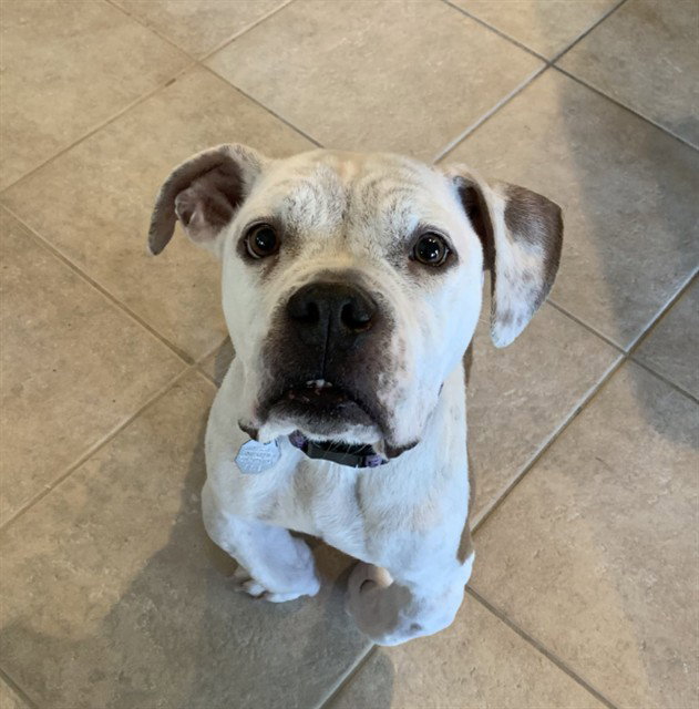 TONKA