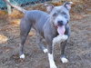 SKYY - Photo 1