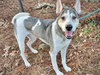 KATO - Photo 1