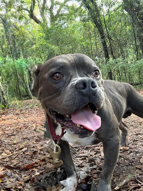 DUDLEY