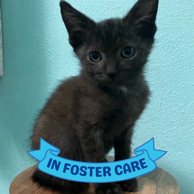 Charlie